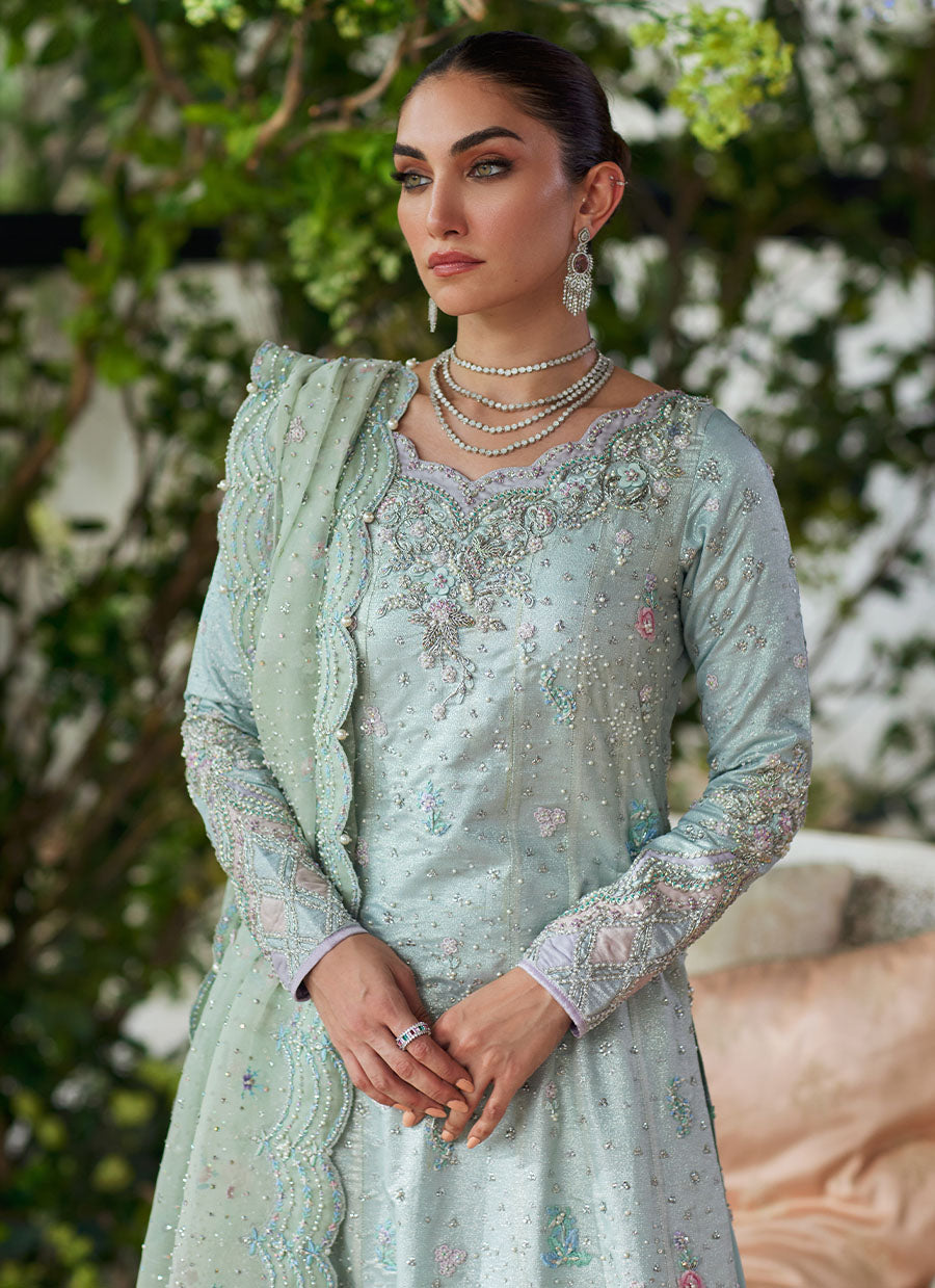 Amali Mint Kalidaar