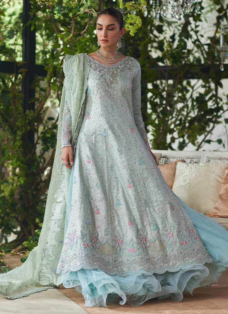 Amali Mint Kalidaar