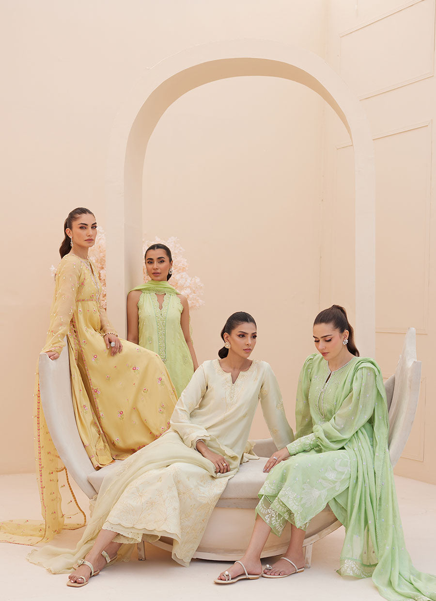 Pia Embroidered Raw Silk Shirt and Dupatta