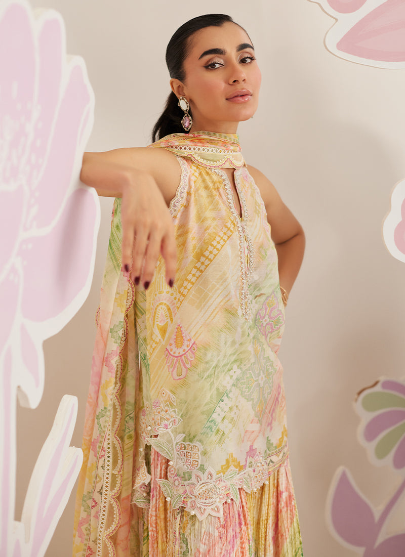 Elysia Shirt and Dupatta
