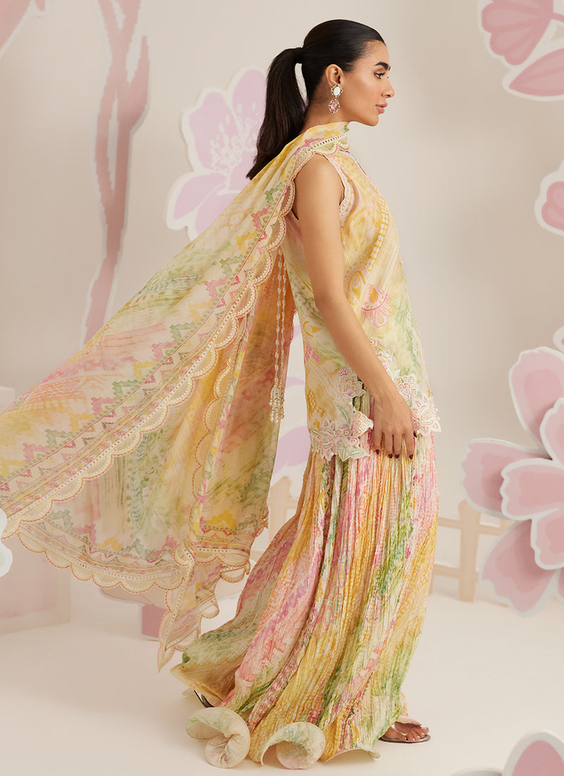 Elysia Shirt and Dupatta
