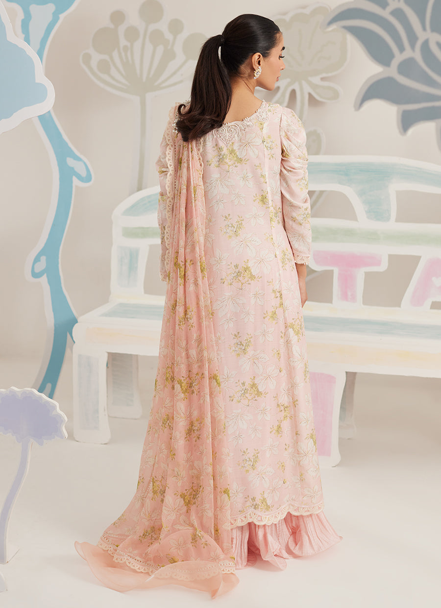 Viona Shirt and Dupatta