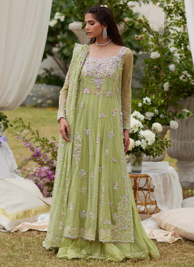 Elira Kiwi Ensemble