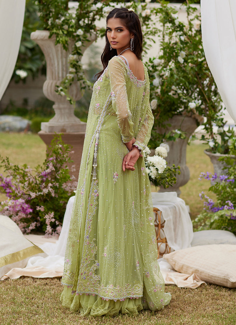 Elira Kiwi Ensemble