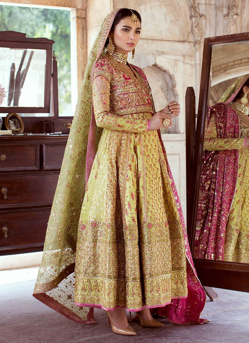 Dhaani Kalidaar