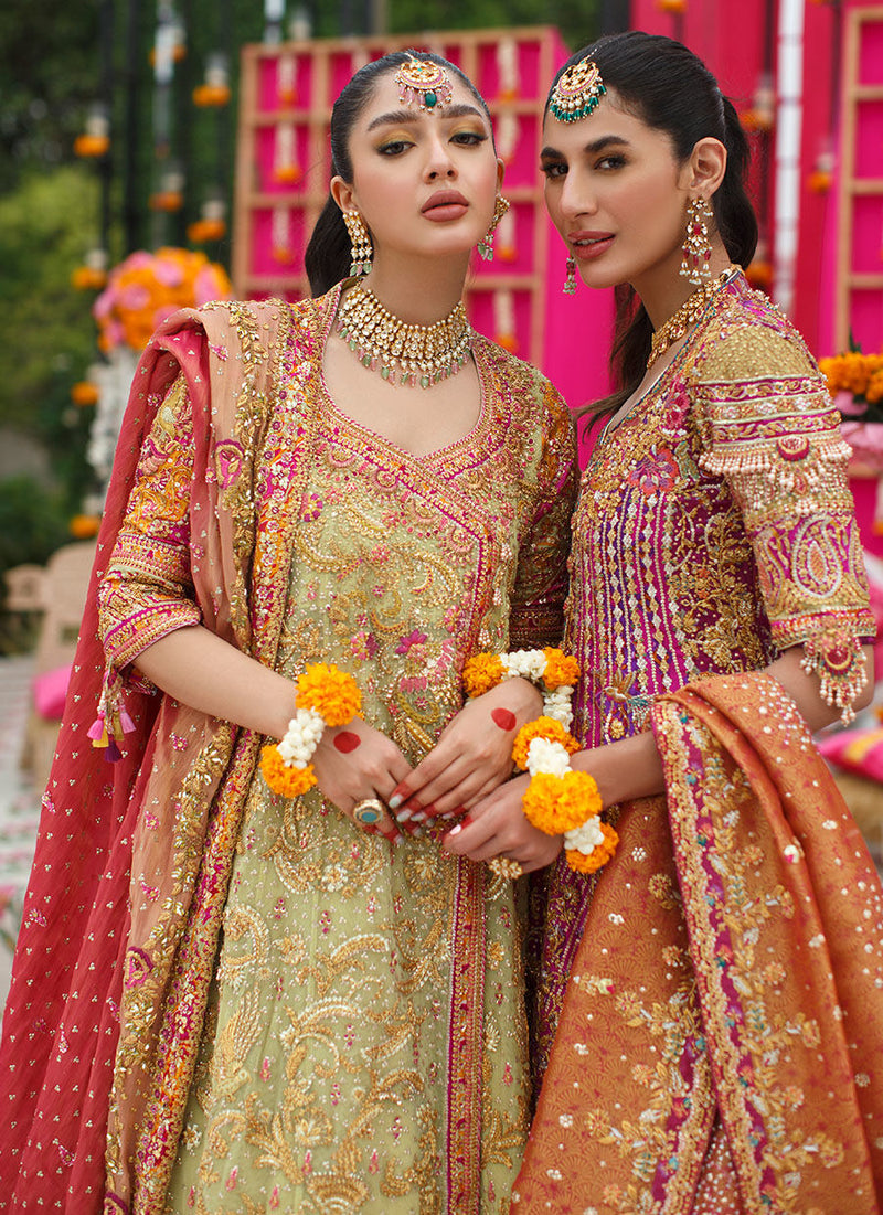 Farheen Angarkha